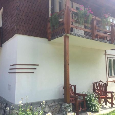 Отель Casa De Vacanta Joldes Гырда-де-Сус Экстерьер фото
