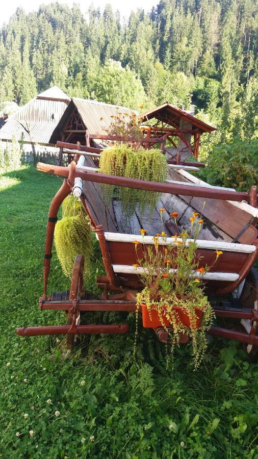 Отель Casa De Vacanta Joldes Гырда-де-Сус Экстерьер фото